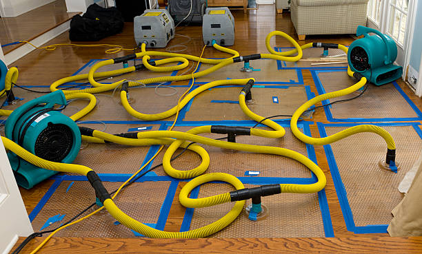 Professional Crawl Space Water Removal technician working in Warwick, MA